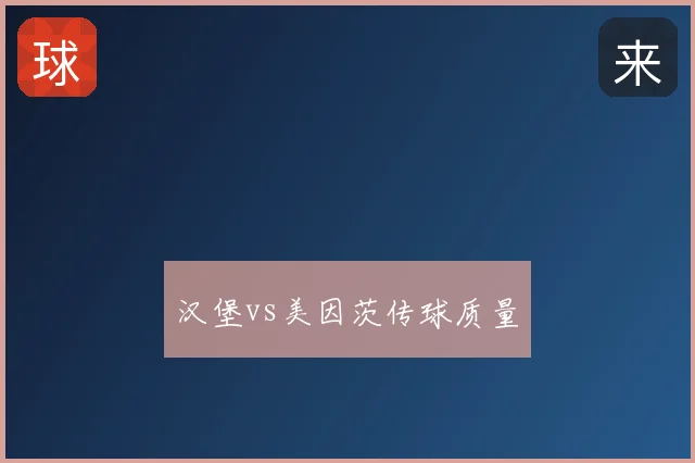 汉堡vs美因茨传球质量